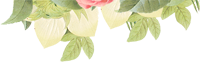 Margarétás zöld dupla gyertya | Margarétás gyertyák, Zöld színűek, Jázmin illatúak, Nagy méretűek, 6 x 25 cm (dupla), Összes gyertya